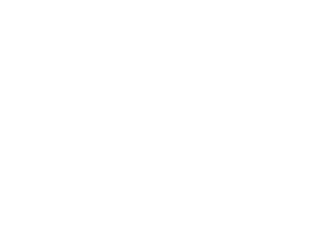 marcaHorizontal_deportes_elche_BLANCO-300x212